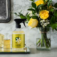 Load image into Gallery viewer, Sea Salt Countertop Spray