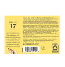 Load image into Gallery viewer, Sea Salt Countertop Spray