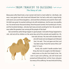 Load image into Gallery viewer, A Year of Bible Stories
