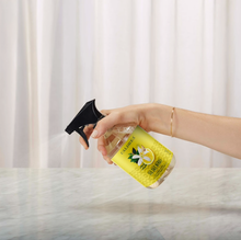 Load image into Gallery viewer, Sea Salt Countertop Spray
