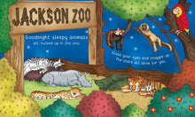 Load image into Gallery viewer, Night-Night MS