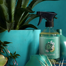 Load image into Gallery viewer, Pear Blossom Countertop Spray