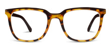 Load image into Gallery viewer, Dante Tokyo Tortoise/Black 3.00
