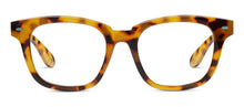 Load image into Gallery viewer, Sandstone Tokyo Tortoise
