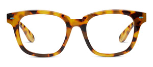 Sandstone Tokyo Tortoise