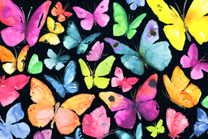 Butterflies MicroPuzzle