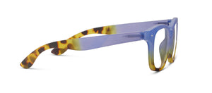 Hidden Gem Blue/Tokyo Tortoise