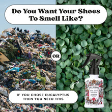 Load image into Gallery viewer, Sole~Pourri Shoe + Foot
