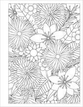 Load image into Gallery viewer, Adult Coloring Book
